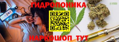шишки Пушкино