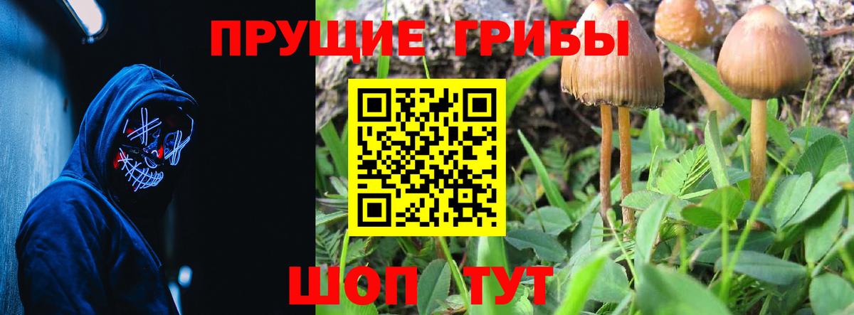 Псилоцибиновые грибы Cubensis  купить закладку  Орск  Вход с VPN 
